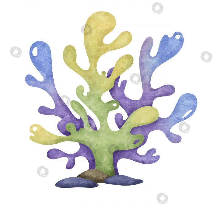 Скачать Нарисованные кораллы, водоросли, рифы. Подводный морской стиль. фотосток Ozero