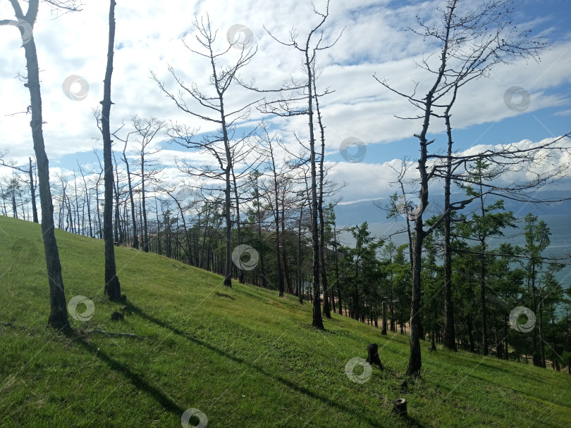 Скачать склон горы на озере Байкал фотосток Ozero