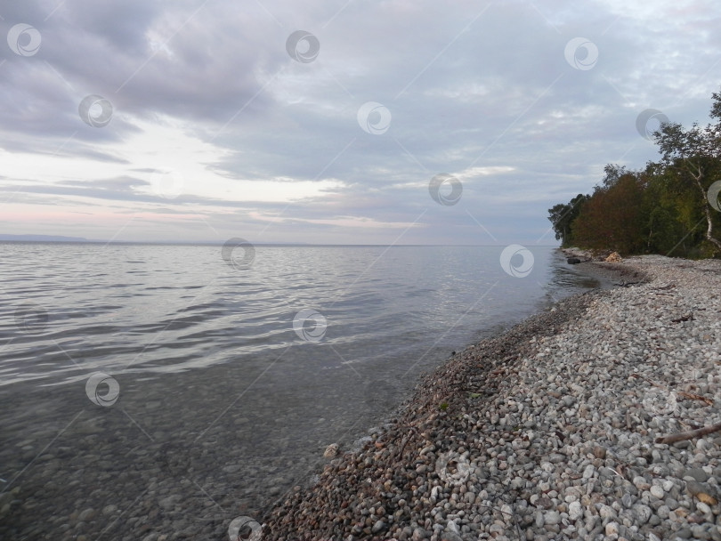 Скачать берег Байкала вечером в Мурино фотосток Ozero