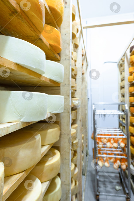 Скачать Сырные полки, заставленные большими сырными кругами, фермерский сырный бизнес, тщательная выдержка в прохладных условиях, ремесленное производство, созревание, молочные традиции, местный продукт. фотосток Ozero