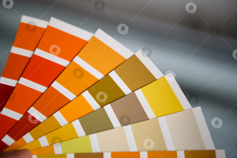 Скачать Подбор цветовой палитры красок для дизайна интерьера, выбор оттенков краски, планирование ремонта, образцы карточек для проектов по декорированию дома. фотосток Ozero