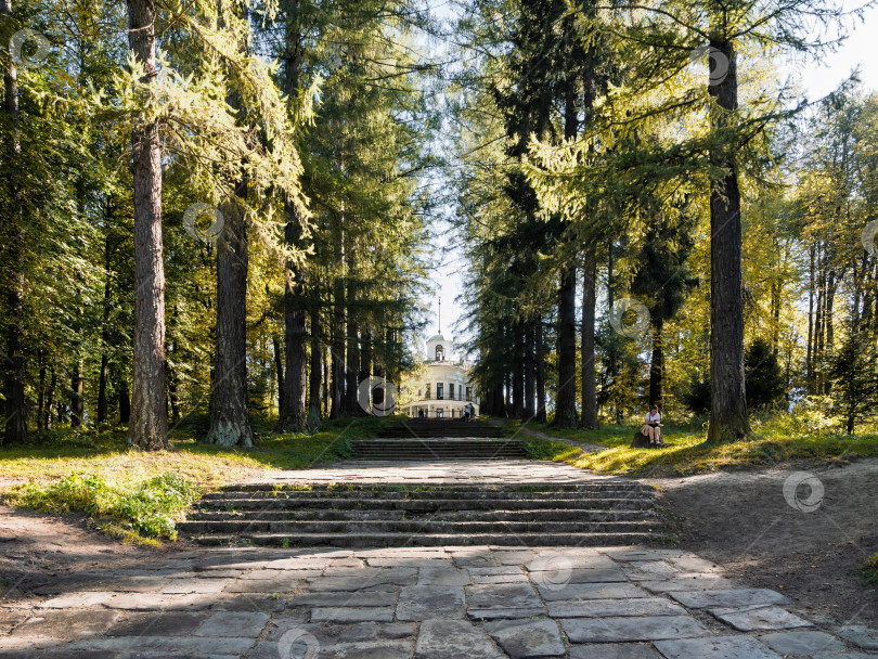 Скачать Широкая каменная лестница в старинной лиственной аллее, ведущая к главному дому усадьбы Середниково в солнечный осенний день фотосток Ozero