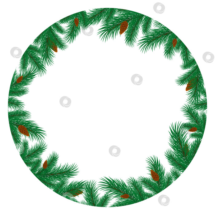 Скачать Рамка с ветками ели. фотосток Ozero