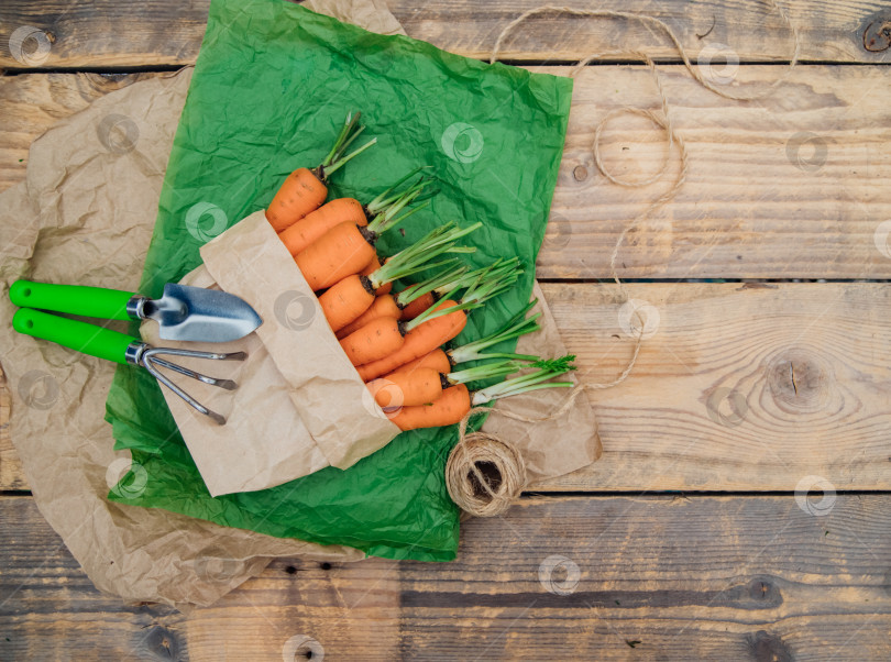 Скачать Свежая морковь в бумажном пакете на деревянном фоне. Овощи и корнеплоды - это полезные витамины. Еда для вегетарианцев. Овощи домашнего приготовления, экологически чистые. Садовая лопата и грабли. фотосток Ozero