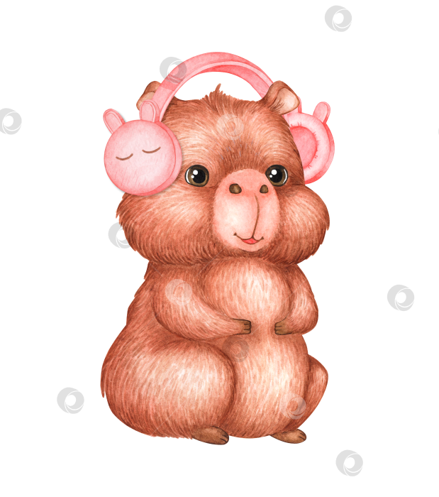 Скачать Акварельная иллюстрация капибары в наушниках фотосток Ozero