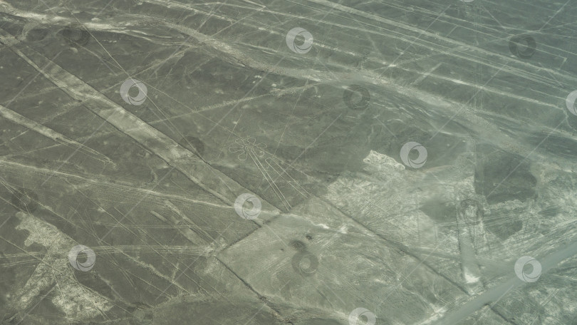Скачать Плато Наска. Вид с высоты птичьего полета. фотосток Ozero