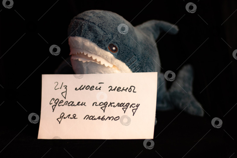 Скачать Серия фото "Звери" фотосток Ozero