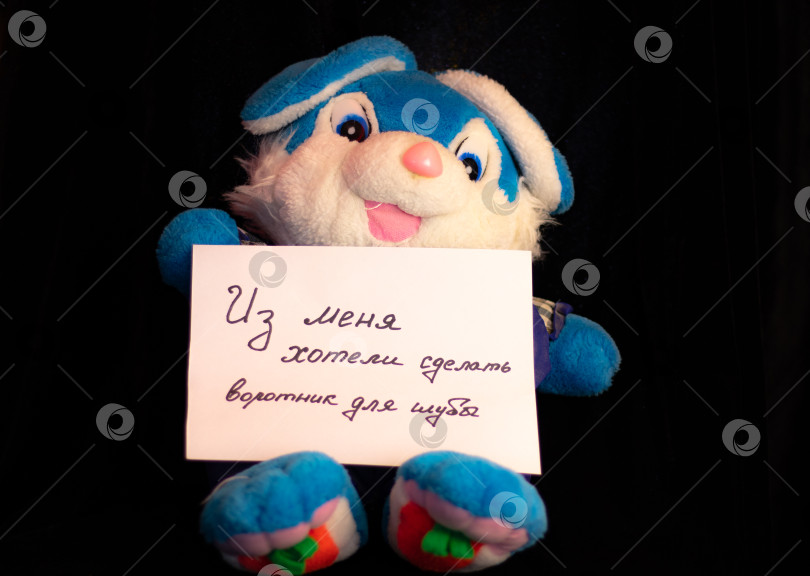 Скачать Серия фото "Звери" фотосток Ozero