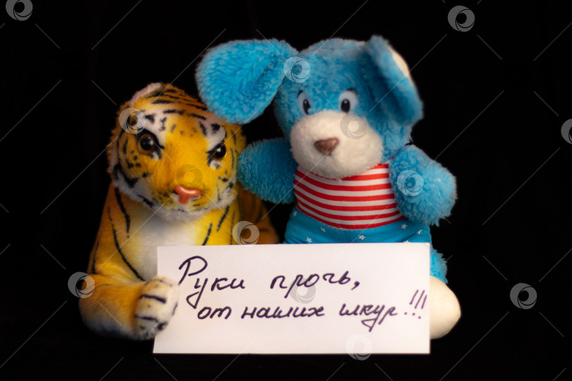 Скачать Серия фото фотосток Ozero