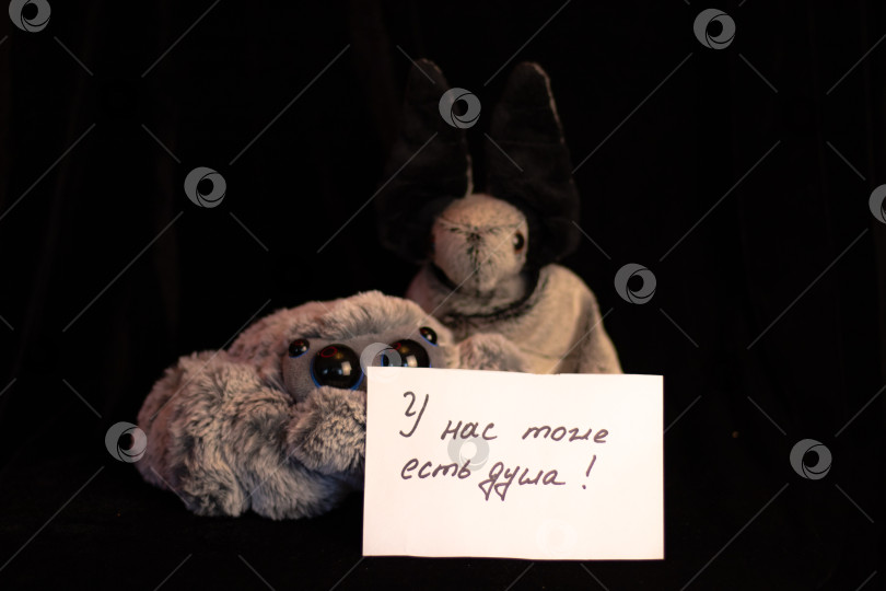 Скачать Серия фото "Звери" фотосток Ozero