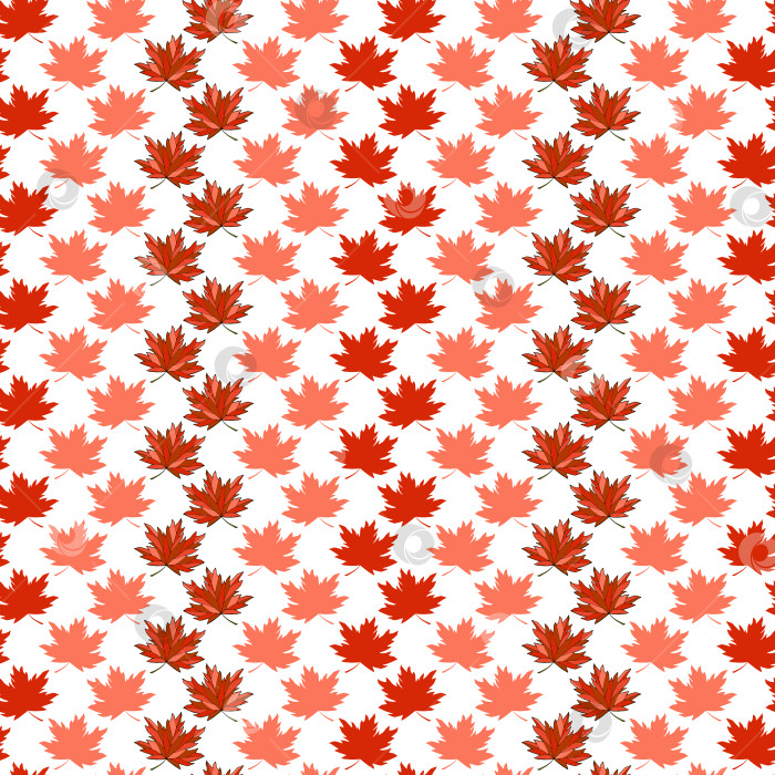 Скачать Бесшовный узор из падающих кленовых листьев. Безграничный фон в виде силуэта листвы Acer. Текстура яркой осени бесконечна. Розовые и красные осенние листья повторяют дизайн поверхности. Милый красочный фон фотосток Ozero