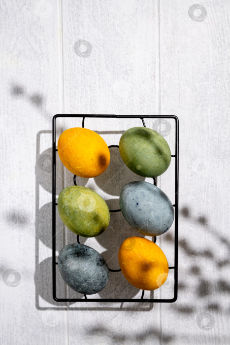 Скачать Пасхальные яйца, окрашенные естественным образом гибискусом и куркумой, сохнут на охлаждающей решетке, создавая красивую палитру желтых и зеленых оттенков, готовые к празднованию Пасхи в copy space. фотосток Ozero