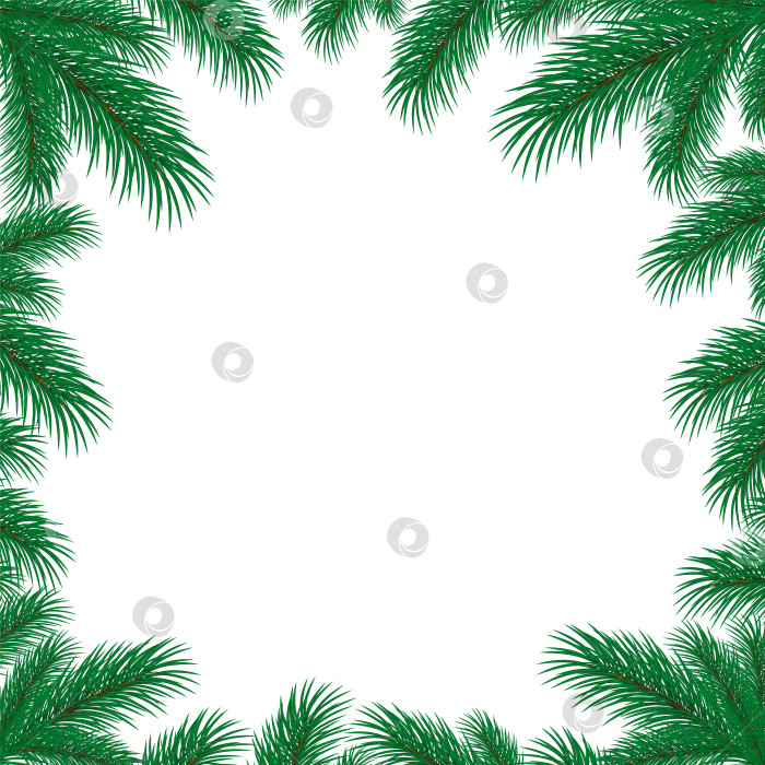 Скачать Рамка с ветками елки. фотосток Ozero