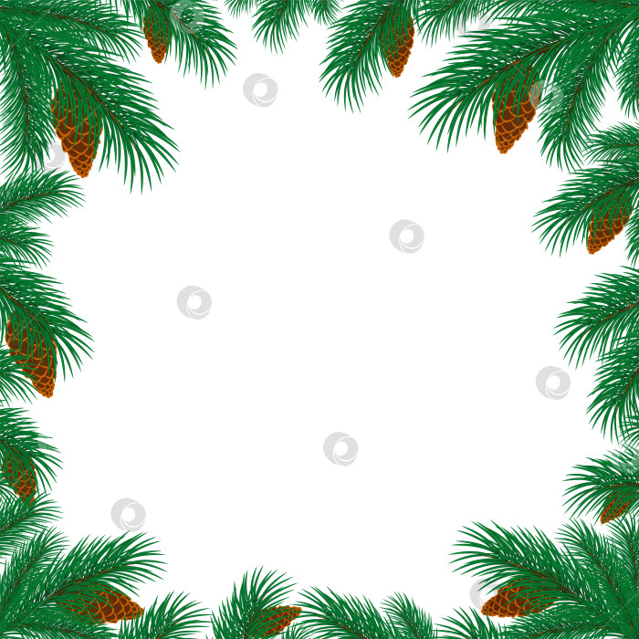 Скачать Рамка с ветками ели. фотосток Ozero
