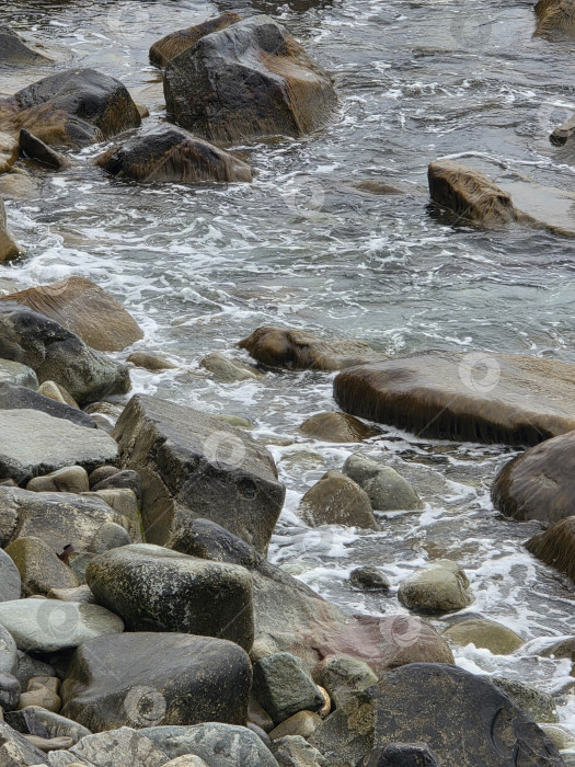 Скачать Море фотосток Ozero