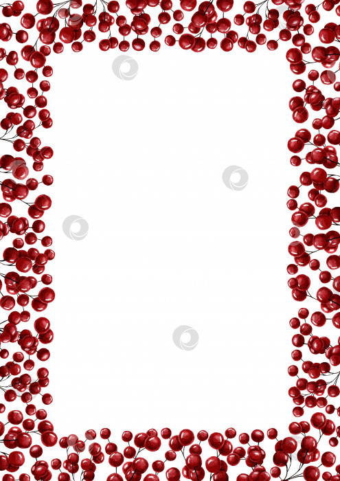 Скачать Прямоугольная вертикальная рамка с красными ягодами для оформления фотографий, печатного текста и т.д. Акварельная иллюстрация фотосток Ozero