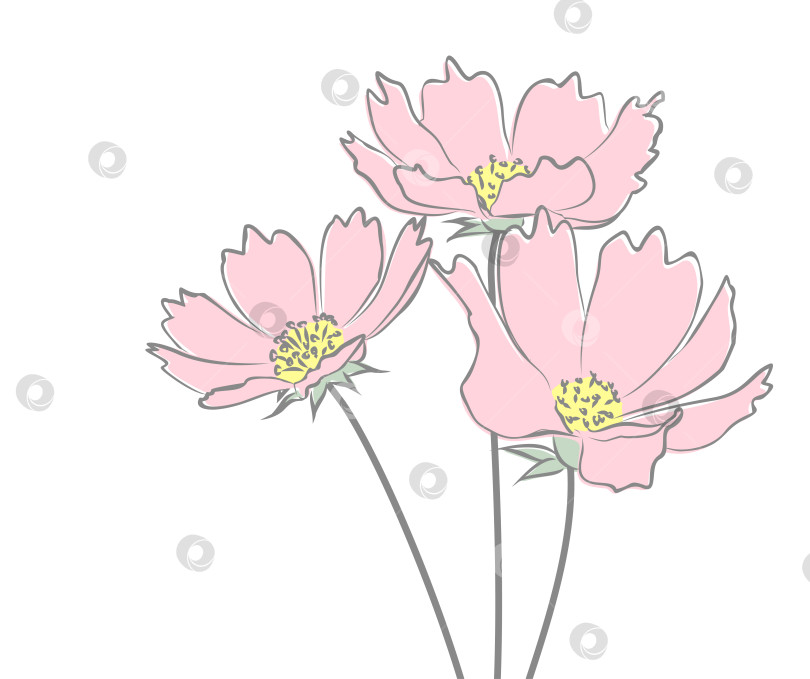 Скачать Набросок полевых цветов. фотосток Ozero