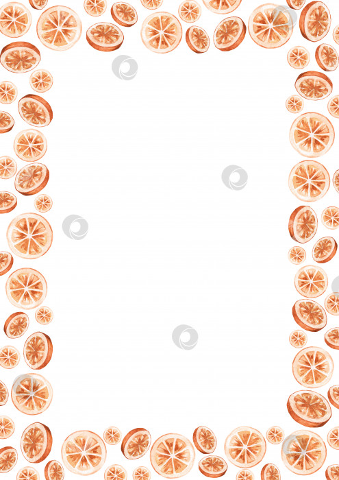 Скачать Прямоугольная вертикальная рамка с апельсинами для украшения и фотодизайна, печати текста и т.д. Акварельная иллюстрация фотосток Ozero