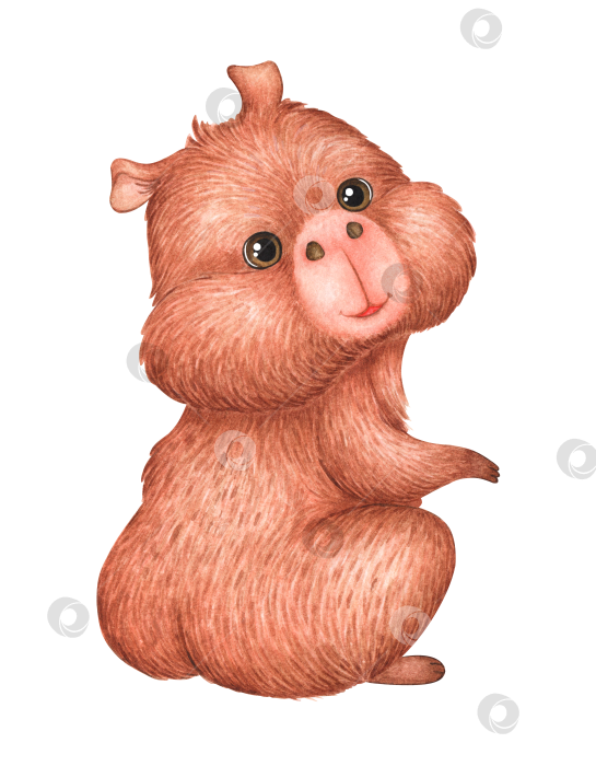 Скачать Симпатичная акварельная иллюстрация капибары фотосток Ozero