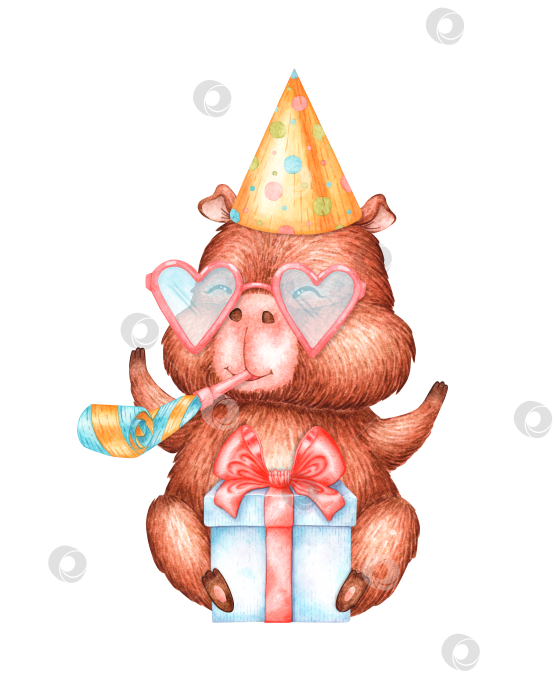 Скачать День рождения капибары с очками и подарком в виде акварели фотосток Ozero