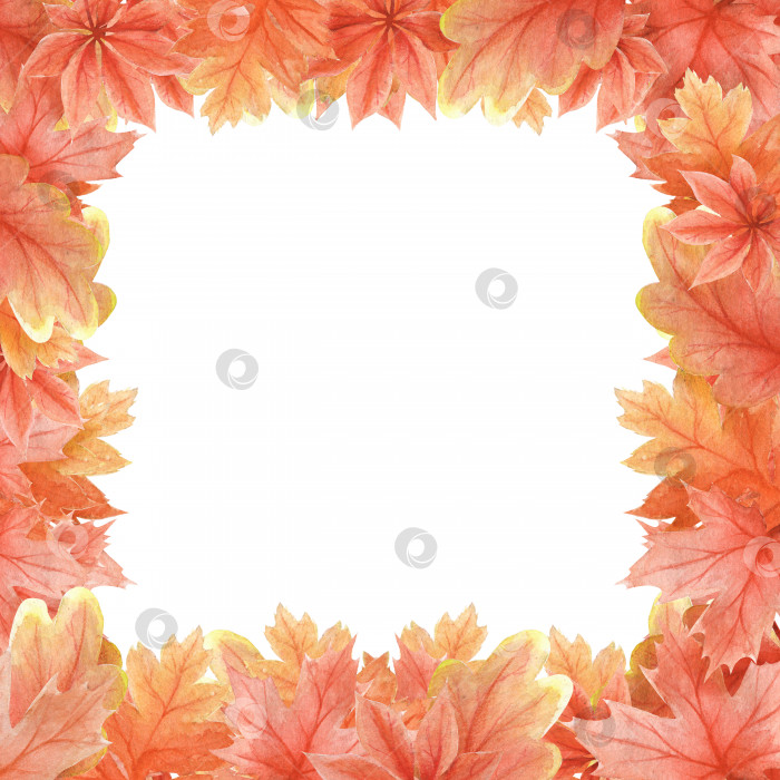 Скачать Квадратная рамка для декора из клена, дуба. Иллюстрация осенних красно-оранжевых листьев фотосток Ozero