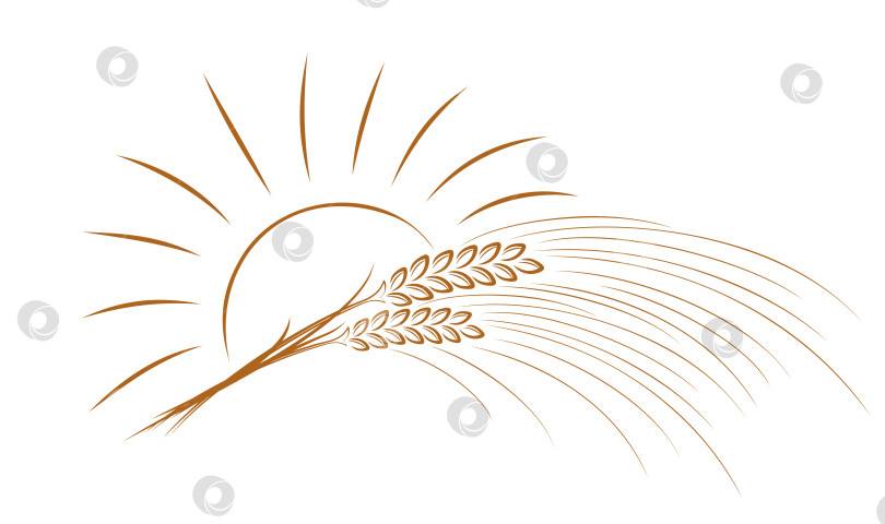 Скачать Логотип пшеницы с солнцем. фотосток Ozero