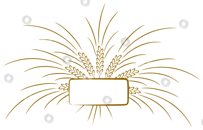 Скачать Логотип с колосками пшеницы. фотосток Ozero