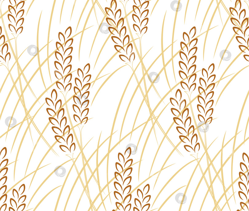 Скачать Бесшовный фон с пшеницей. фотосток Ozero