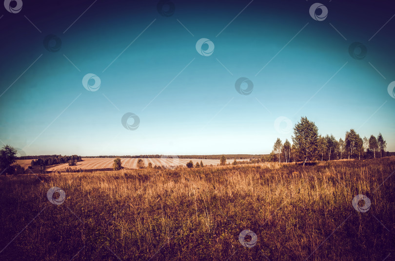 Скачать Сельская грунтовая дорога в ясный летний день фотосток Ozero