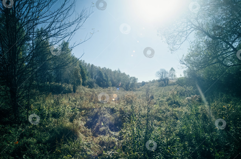 Скачать Сельская грунтовая дорога в ясный летний день фотосток Ozero