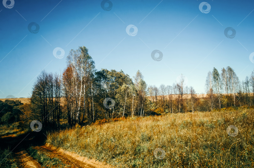 Скачать Сельская грунтовая дорога в ясный летний день фотосток Ozero