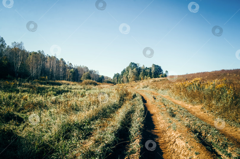 Скачать Сельская грунтовая дорога в ясный летний день фотосток Ozero