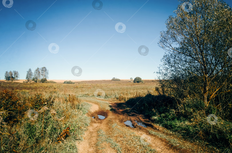 Скачать Сельская грунтовая дорога в ясный летний день фотосток Ozero
