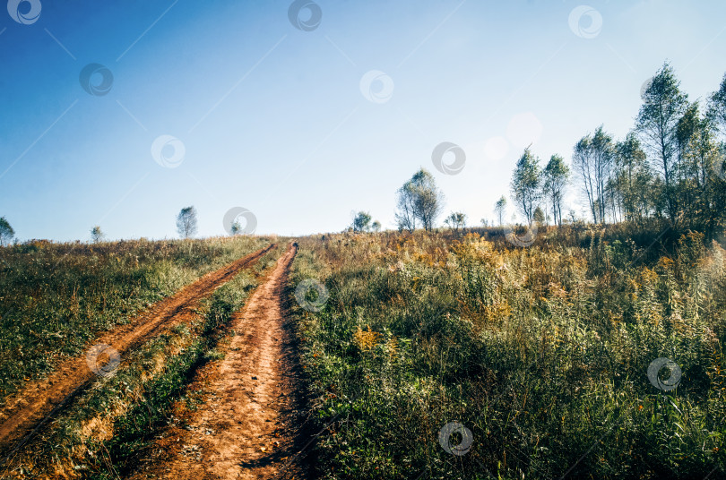 Скачать Сельская грунтовая дорога в ясный летний день фотосток Ozero