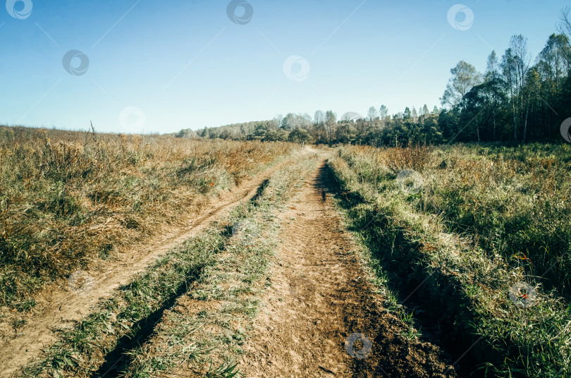 Скачать Сельская грунтовая дорога в ясный летний день фотосток Ozero
