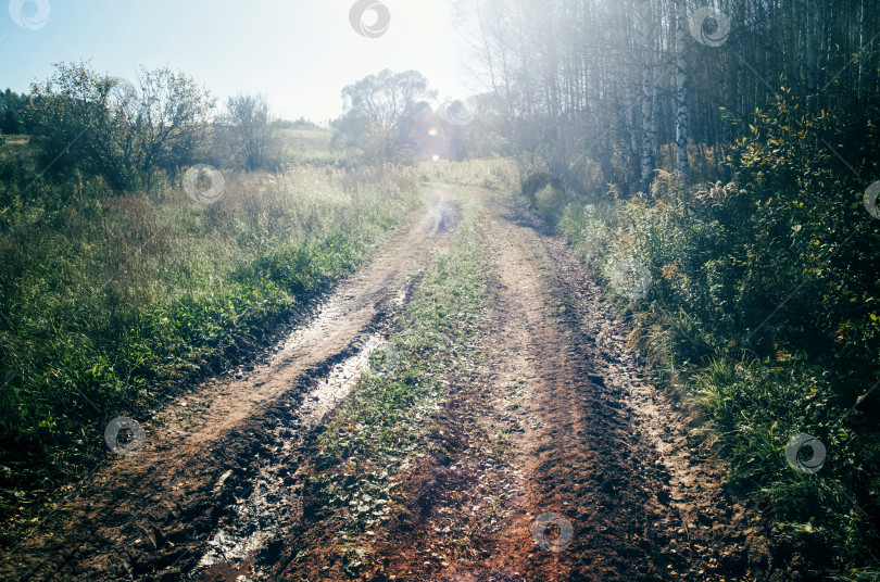 Скачать Сельская грунтовая дорога в ясный летний день фотосток Ozero
