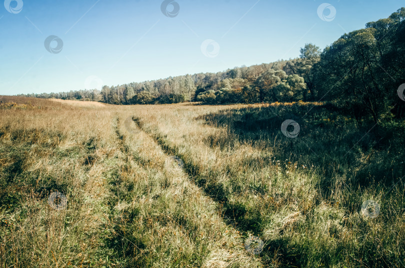 Скачать Сельская грунтовая дорога в ясный летний день фотосток Ozero