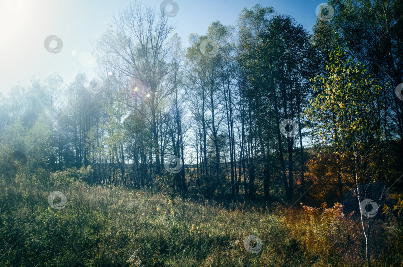 Скачать Сельская грунтовая дорога в ясный летний день фотосток Ozero