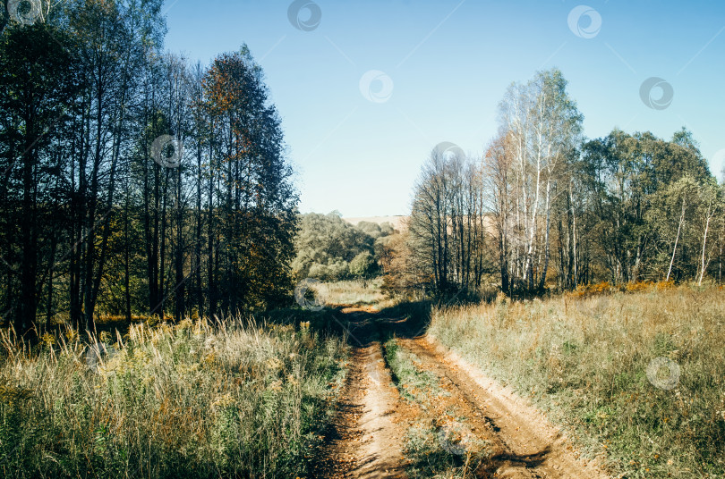 Скачать Сельская грунтовая дорога в ясный летний день фотосток Ozero