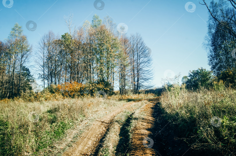Скачать Сельская грунтовая дорога в ясный летний день фотосток Ozero