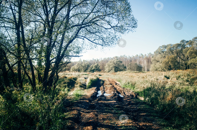 Скачать Сельская грунтовая дорога в ясный летний день фотосток Ozero