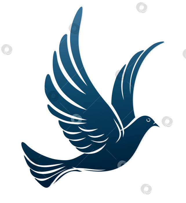 Скачать Набросок летящего голубя. фотосток Ozero