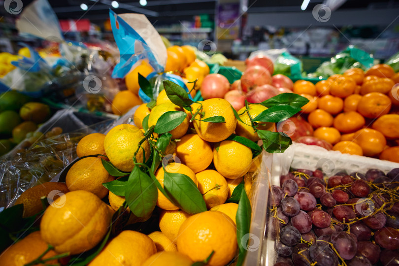 Скачать Яркая витрина со свежими цитрусовыми и виноградом в продуктовом магазине в дневное время фотосток Ozero