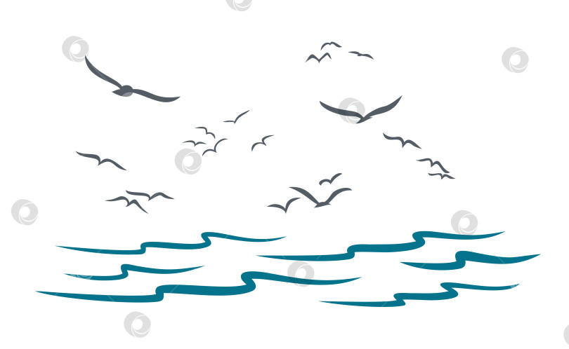 Скачать Море с чайками. фотосток Ozero