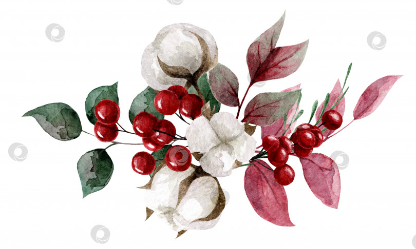 Скачать Акварельная композиция из ягод и листьев хлопчатника. Иллюстрация для оформления наклеек, книг, открыток фотосток Ozero