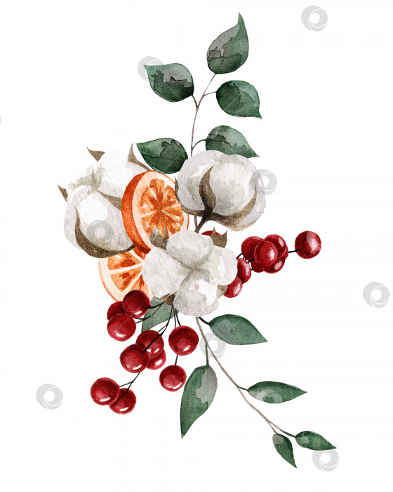 Скачать Акварельная композиция из ягод и листьев хлопчатника. Иллюстрация для оформления наклеек, книг, открыток фотосток Ozero