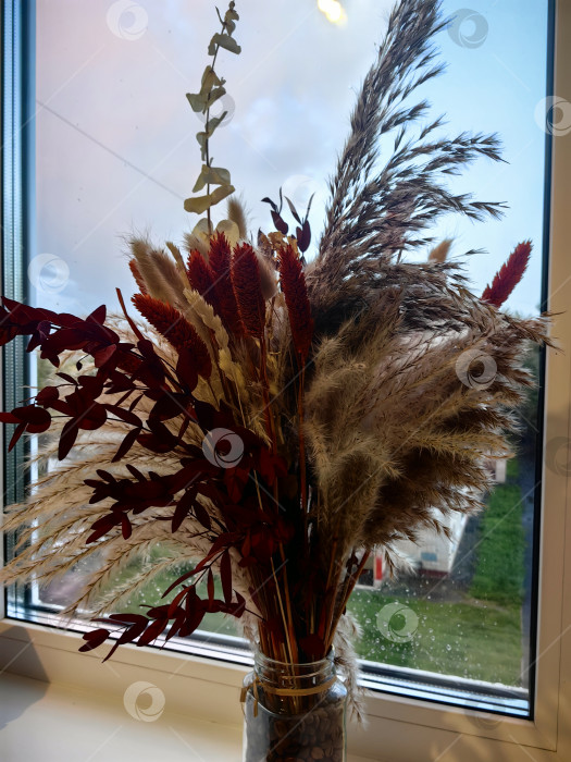 Скачать Букет декоративного сухоцвета в банке с зерновым кофе на подоконнике фотосток Ozero