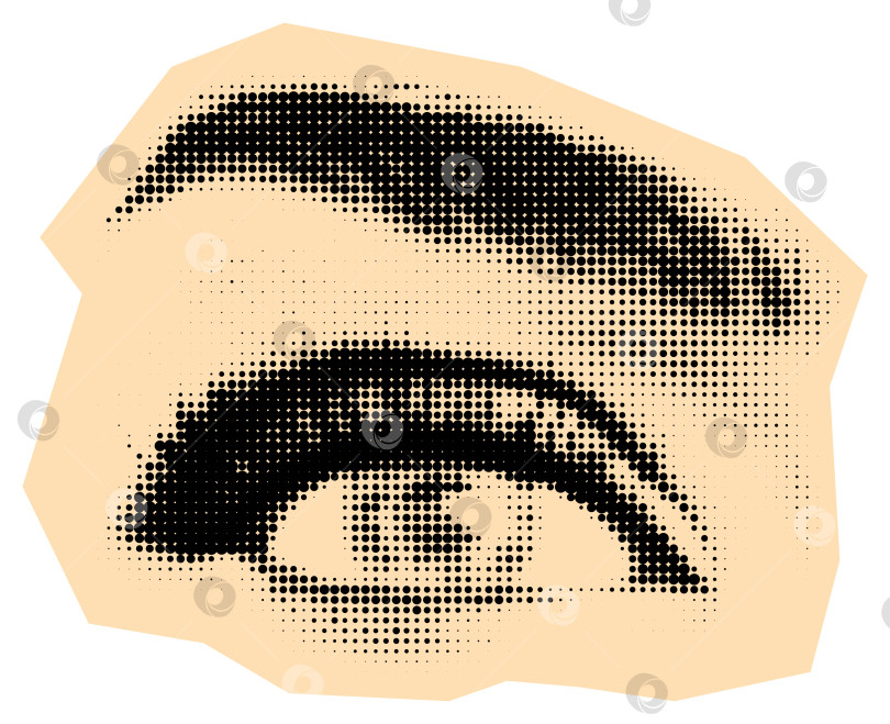 Скачать Детализированные глаза в полтона с длинными ресницами и бровями фотосток Ozero