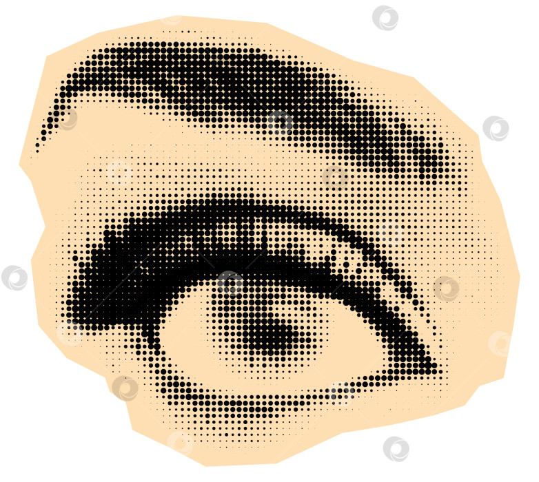 Скачать Детализированные глаза в полтона с длинными ресницами и бровями фотосток Ozero