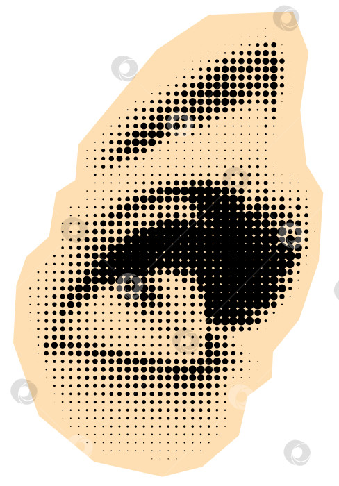 Скачать Детализированные глаза в полтона с длинными ресницами и бровями фотосток Ozero